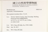 登錄號:F0038168藏品圖，第2張