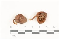 登錄號:F0038168藏品圖，第1張