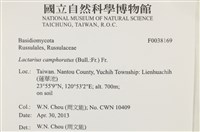 登錄號:F0038169藏品圖，第2張