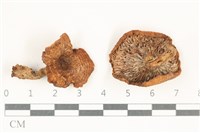 登錄號:F0038169藏品圖，第1張