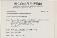 登錄號:F0038171藏品圖，第2張
