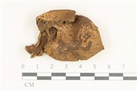 登錄號:F0038171藏品圖，第1張