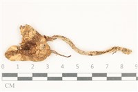 登錄號:F0038173藏品圖，第1張