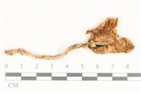 登錄號:F0038173藏品圖，第3張