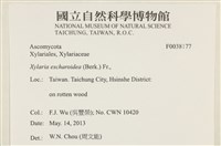 登錄號:F0038177藏品圖，第2張