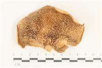 登錄號:F0038178藏品圖，第3張