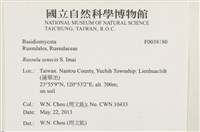 登錄號:F0038180藏品圖，第2張