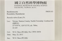 登錄號:F0038183藏品圖，第2張