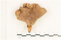 登錄號:F0038183藏品圖，第1張