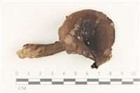 登錄號:F0038185藏品圖，第1張