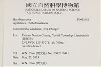 登錄號:F0038186藏品圖，第2張
