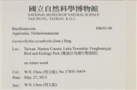登錄號:F0038190藏品圖，第2張
