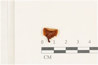 登錄號:F0038190藏品圖，第3張