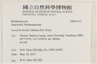 登錄號:F0038193藏品圖，第2張