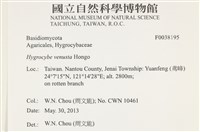 登錄號:F0038195藏品圖，第2張