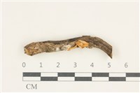登錄號:F0038195藏品圖，第1張