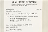 登錄號:F0038196藏品圖，第2張
