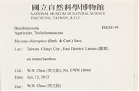 發光小菇藏品圖，第2張