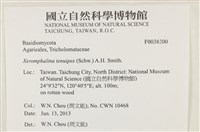 登錄號:F0038200藏品圖，第2張