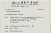 登錄號:F0038202藏品圖，第2張