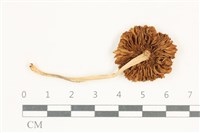 登錄號:F0038202藏品圖，第3張