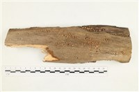 登錄號:F0038203藏品圖，第1張