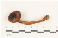 登錄號:F0038206藏品圖，第1張