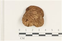 登錄號:F0038207藏品圖，第1張