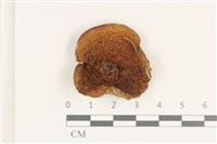 登錄號:F0038207藏品圖，第3張