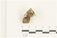 登錄號:F0038213藏品圖，第3張