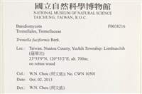 登錄號:F0038216藏品圖，第2張