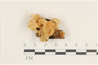 登錄號:F0038216藏品圖，第1張
