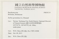 登錄號:F0038219藏品圖，第2張