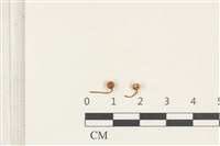 登錄號:F0038220藏品圖，第1張