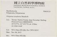 登錄號:F0038223藏品圖，第2張