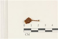 登錄號:F0038223藏品圖，第1張