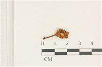 登錄號:F0038223藏品圖，第3張