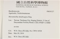 登錄號:F0038227藏品圖，第2張
