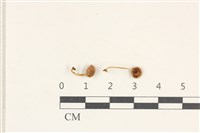 登錄號:F0038227藏品圖，第1張
