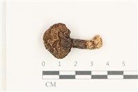 登錄號:F0038229藏品圖，第1張