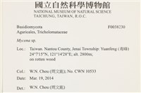 小菇屬藏品圖，第2張