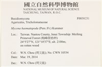 登錄號:F0038231藏品圖，第2張