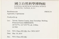 登錄號:F0038234藏品圖，第2張