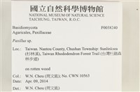 登錄號:F0038240藏品圖，第2張