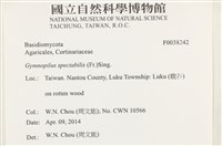 登錄號:F0038242藏品圖，第2張