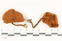 登錄號:F0038242藏品圖，第1張