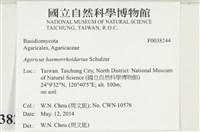 登錄號:F0038244藏品圖，第2張
