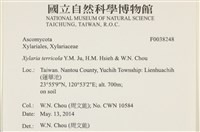 登錄號:F0038248藏品圖，第2張