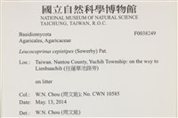 登錄號:F0038249藏品圖，第2張