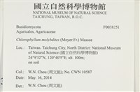 登錄號:F0038251藏品圖，第2張